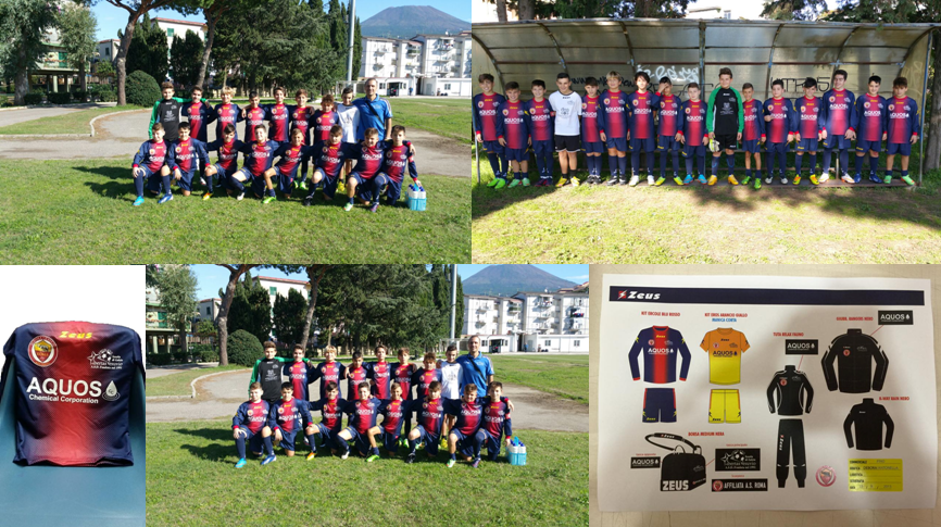 Aquos is the sponsor of A.S.D. school football Libertas Vesuvio in Ercolano (NA) for the sporting year 2015-2016.